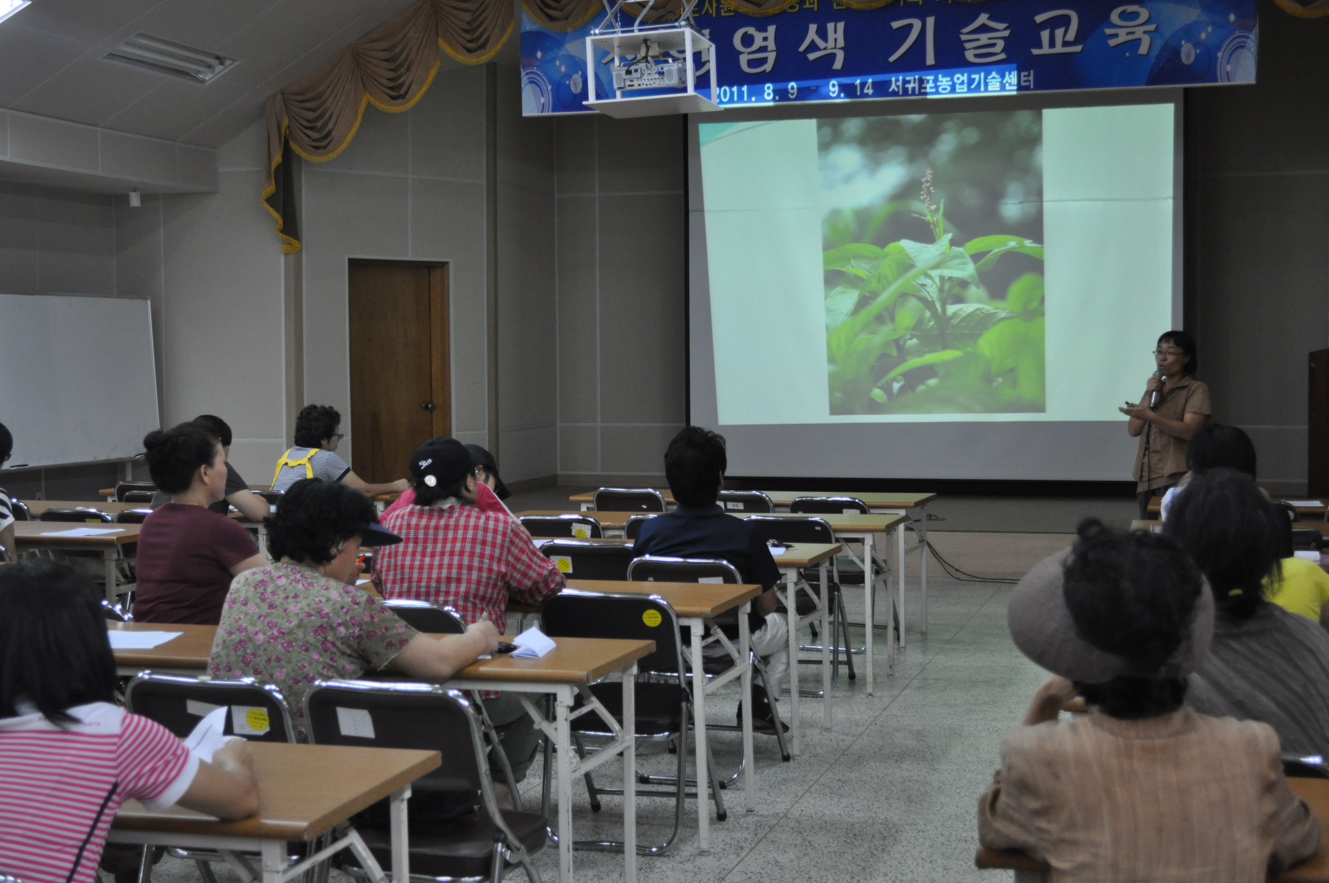 천연염색 기술교육(2회차, 생쪽염색)